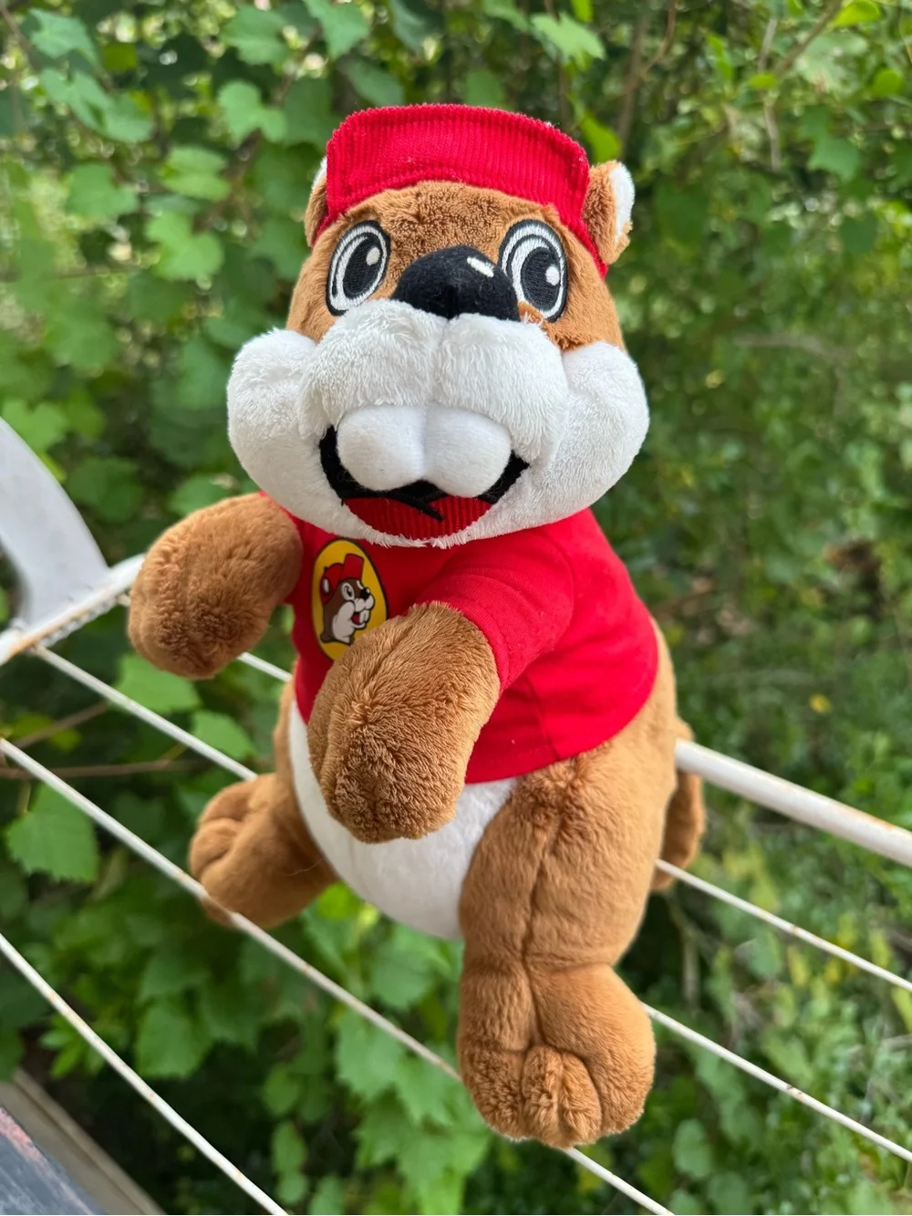Buc-ees buc ee